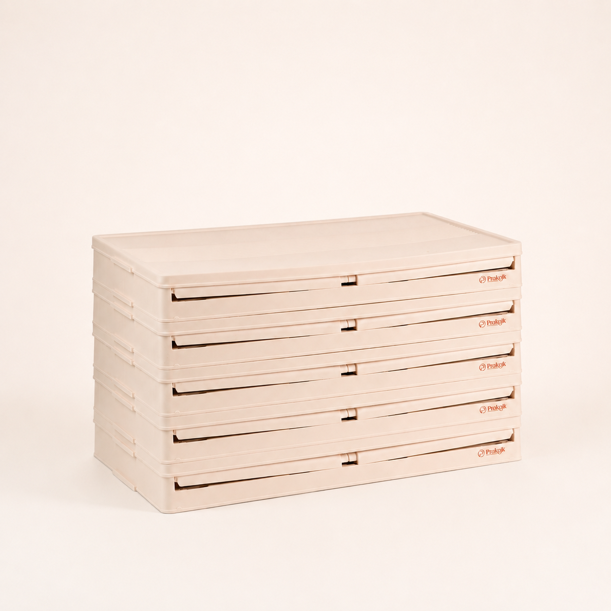 95 QT Proktik Foldable Cabinet (5-Layer Set)